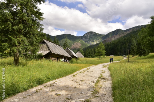 Dolina Jaworzynki, Tatry, Tatrzański Park Narodowy, lato w Tatrach 