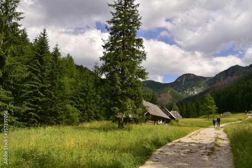 Dolina Jaworzynki, Tatry, Tatrzański Park Narodowy, lato w Tatrach  photo