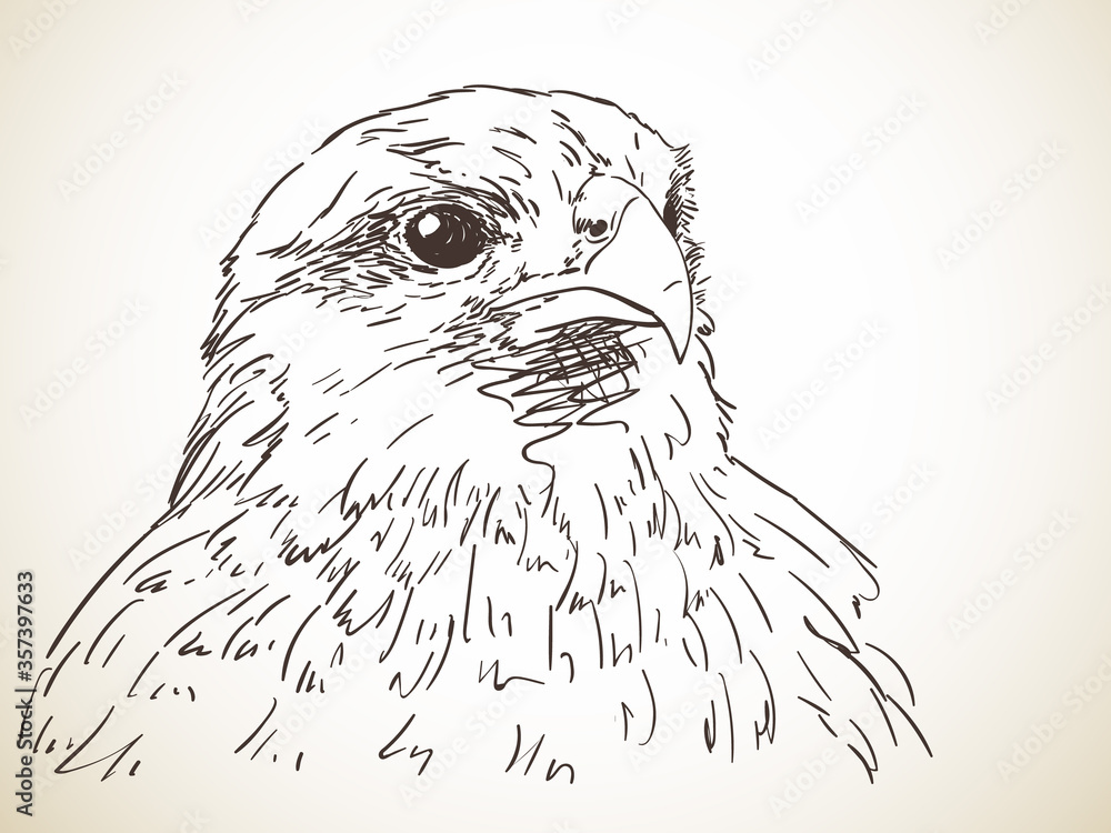 Fototapeta premium bird