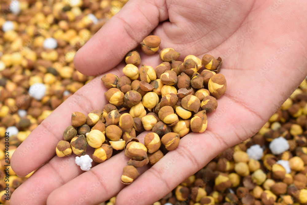 Roasted Chickpea/chana known as Pakistan or Phutana in Hindi Roasted Chickpea/chana known as Pakistan or Phutana in Hindi