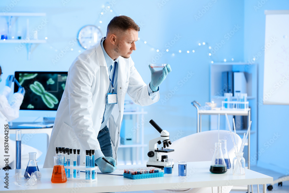 Fototapeta premium Scientist working with sample in laboratory