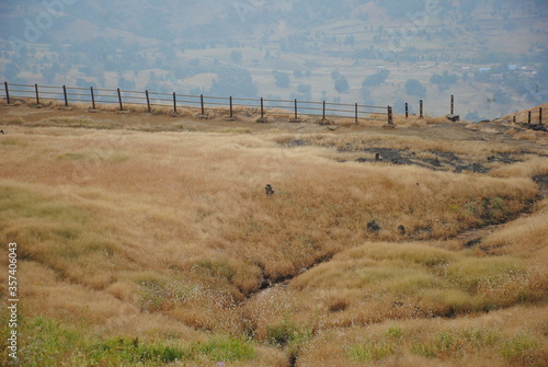 landscape of the mountains