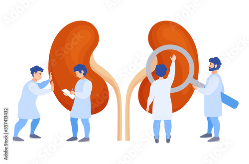 A team of doctors checkup the kidneys. Tiny people examine the organ and make a diagnosis. Banner on the prevention of kidneys disease Vector flat concept.