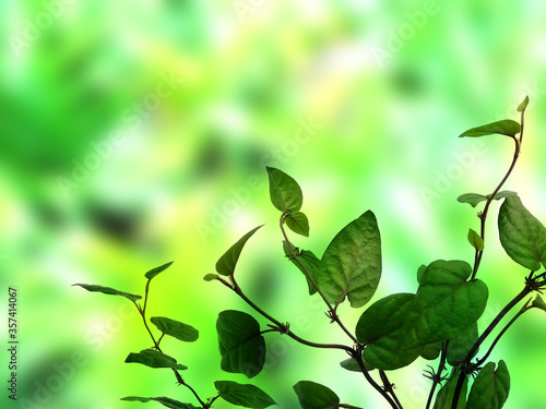 Green leaf background. Beautiful and fresh background. Green plant on blur background. © PurMoon