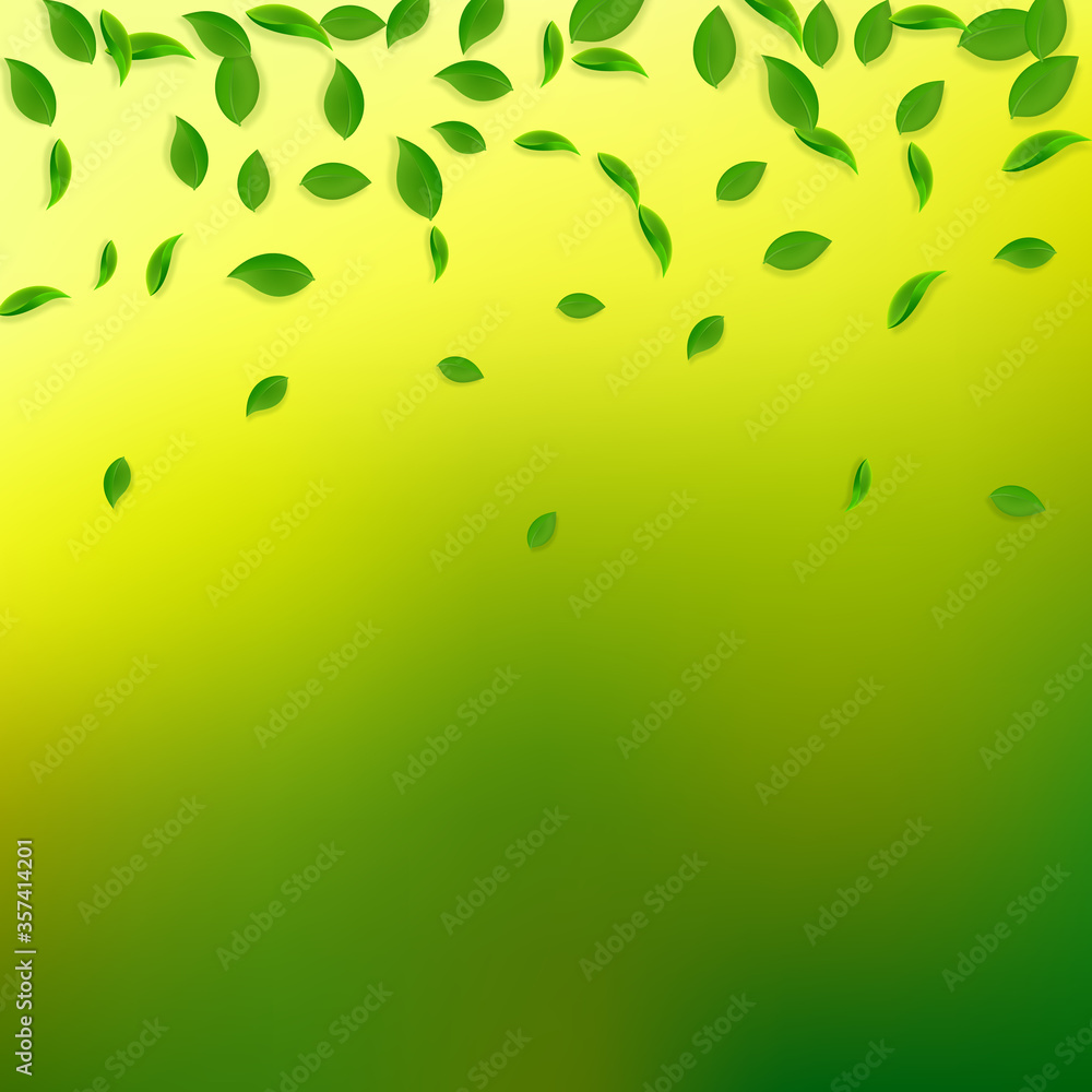 Falling green leaves. Fresh tea chaotic leaves fly Falling green leaves. Fresh tea chaotic leaves fly