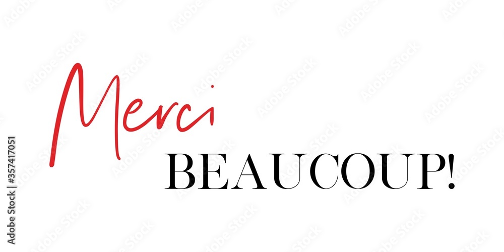 Merci Beaucoup! Thank you very much in French vector quote