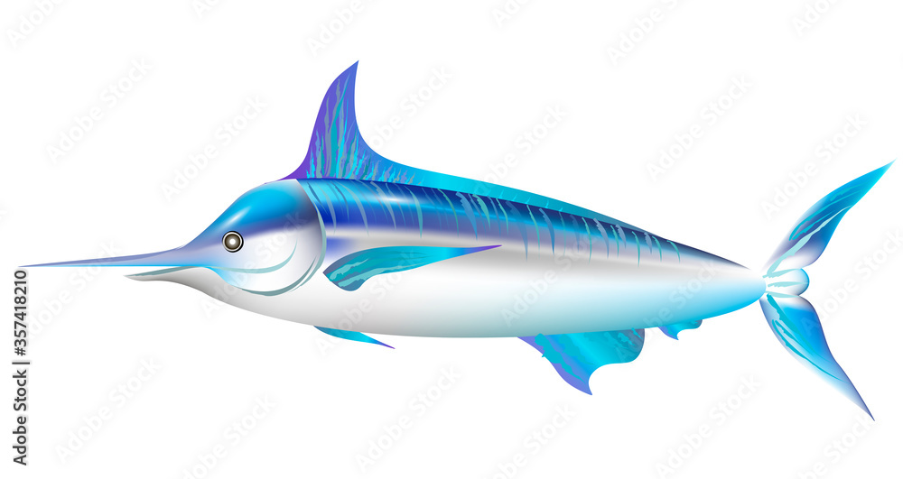 Fototapeta premium Cartoon blue marlin fish. Exotic sea fish. Vector illustration.