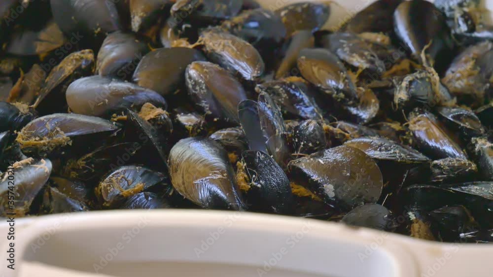 Female hands cleaning seashells gathered fresh from the sea. Plastic bowl full of fresh mussels at wooden table. Female hands cleaning seashells gathered fresh from the sea. Plastic bowl full of fresh mussels at wooden table.