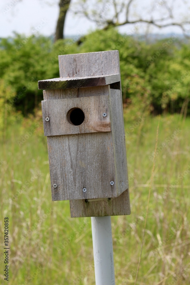 A close view of the old wood box birdhouse in the park.