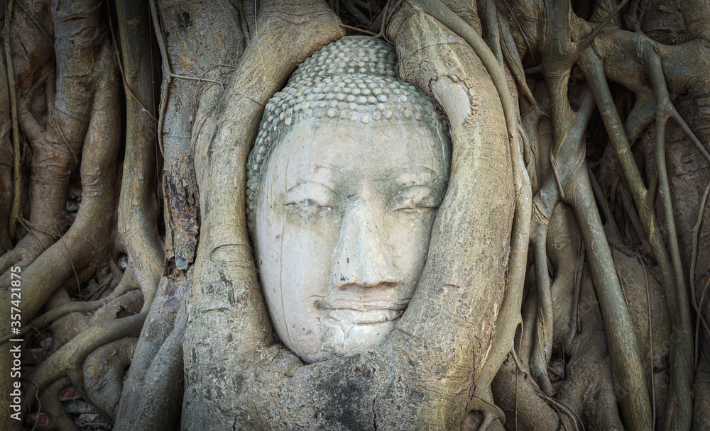 Head of Buddha statue in Wat Mahathat temple, Ayutthaya, Thailand.