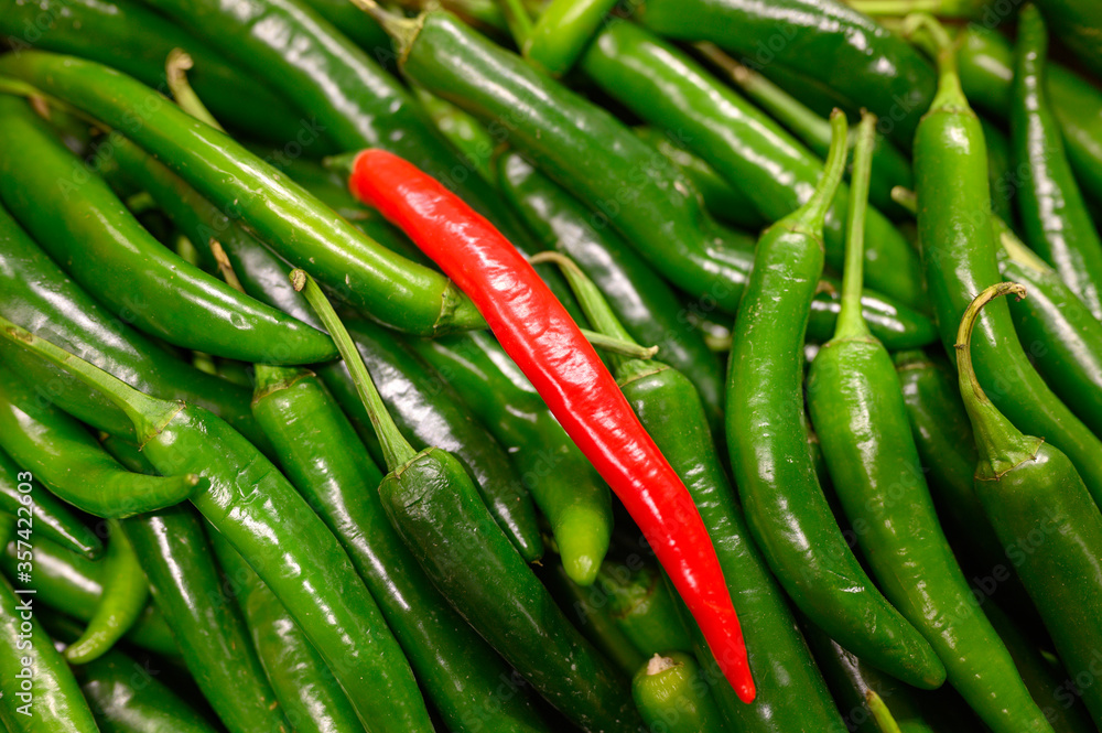 vegetables one red and pile green hot chili peppers as background vegetables one red and pile green hot chili peppers as background