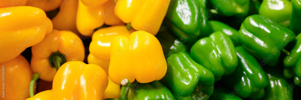 a pile of vegetables green and yellow sweet bell peppers as background. banner a pile of vegetables green and yellow sweet bell peppers as background. banner