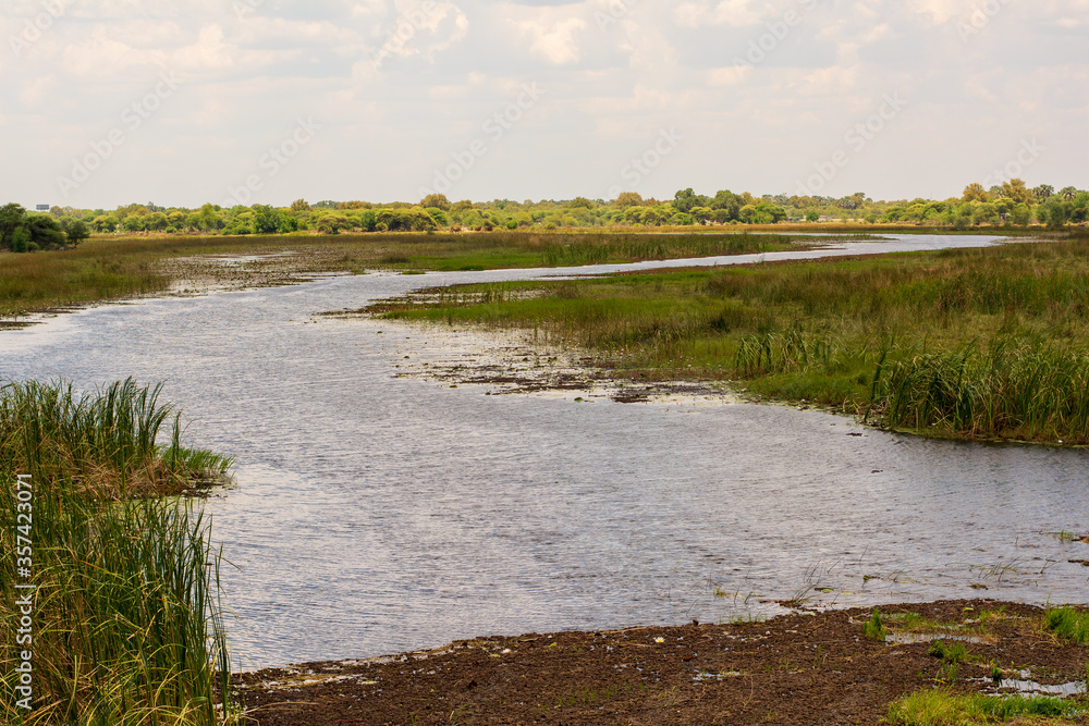 River flowing from okovango delta in botswana River flowing from okovango delta in botswana