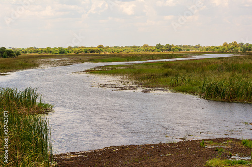 River flowing from okovango delta in botswana photo
