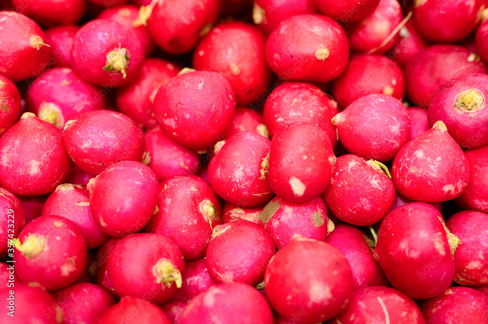 a pile of vegetables round red radishes as background