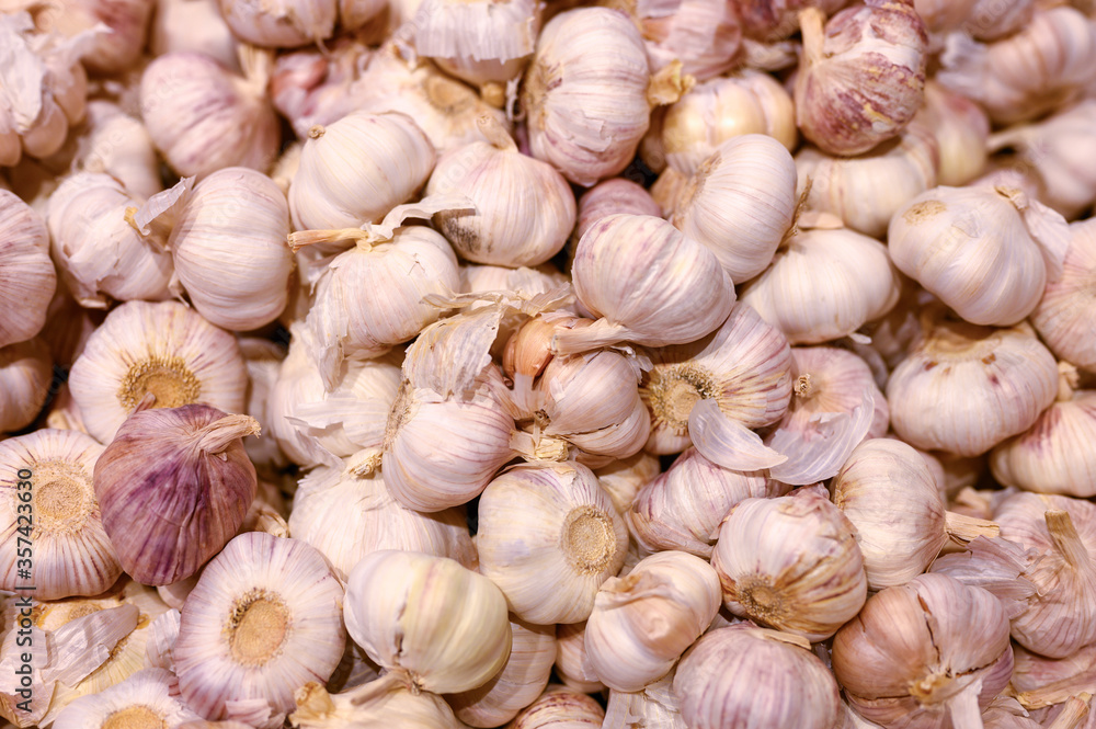 a pile of vegetables white garlic as background a pile of vegetables white garlic as background