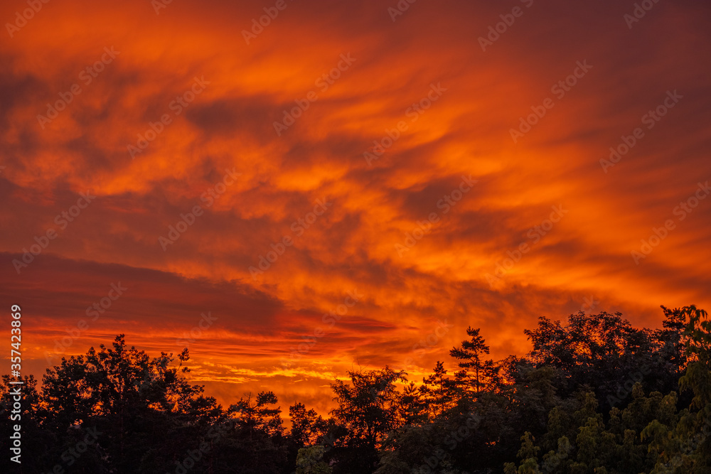 Fototapeta premium red sunset sky