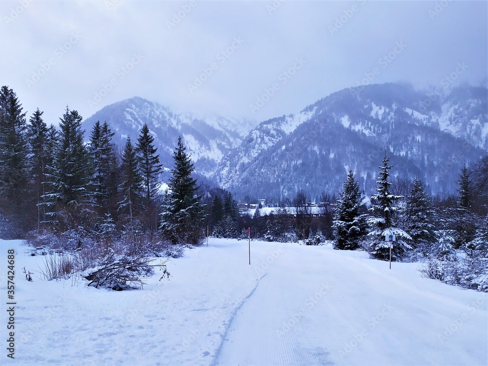 Fototapeta premium Mountains and forests in Austria, snowy landscape with signs