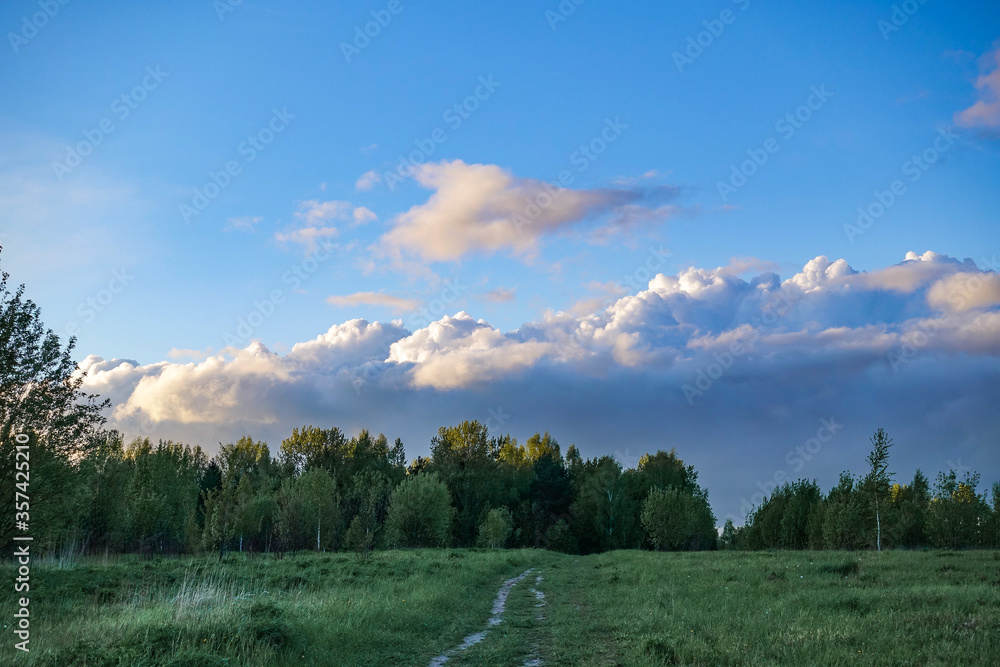 Beautiful evening landscape. Field and clouds