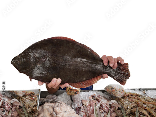 Close up on flounder fish being held by hands  seafood