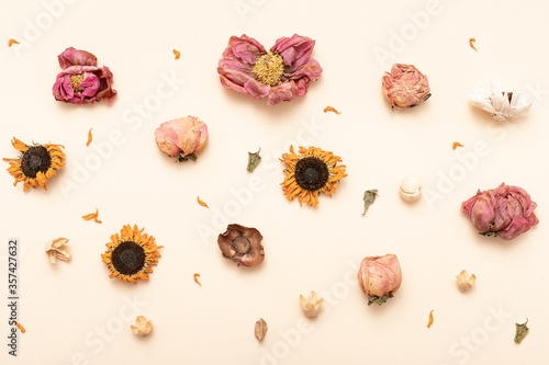 Autumn creative composition. Orange yellow color.