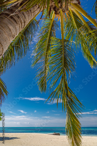 Tropical paradise as vertical landscape banner. Green palm leaves under blue sky close to endless blue ocean water. Luxury beach background concept  exotic travel vacation destination