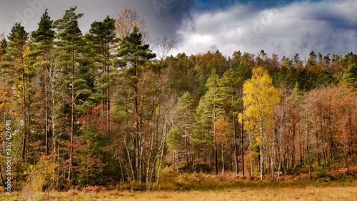 Fototapeta Naklejka Na Ścianę i Meble -  autumn in the mountains