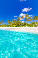 Keuken achterwand Turquoise Tropical island paradise. Summer beach landscape, panoramic sea view with palm trees white sand. Luxury summer holiday travel and vacation. Vivid colors, relax beach concept. Nature tropic landscape  © icemanphotos