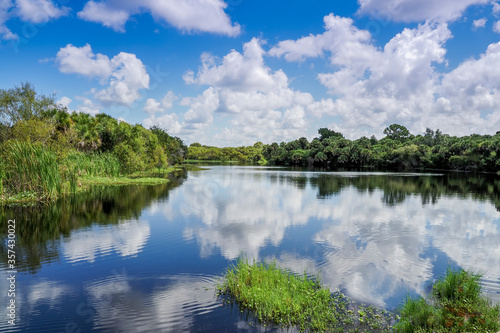 Fototapeta Naklejka Na Ścianę i Meble -  Deer Prairie Creek in Deer Prairie Creek Preserve in Venice Florida