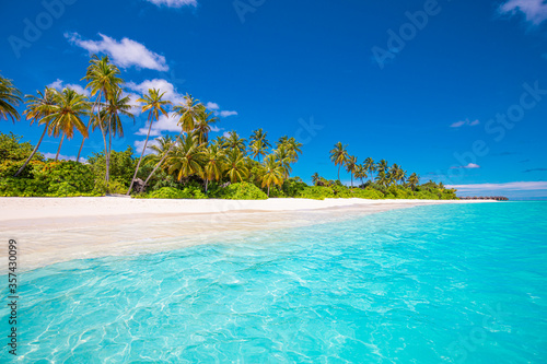 Fototapeta Naklejka Na Ścianę i Meble -  Tropical island paradise. Summer beach landscape, panoramic sea view with palm trees white sand. Luxury summer holiday travel and vacation. Vivid colors, relax beach concept. Nature tropic landscape
