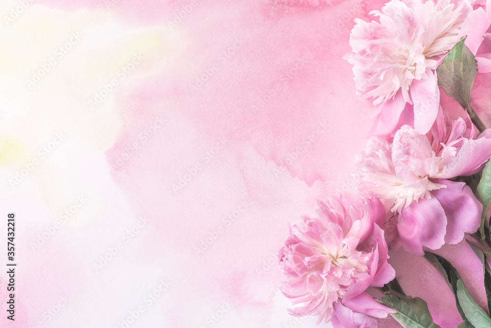 Pink peonies on an abstract pink tender watercolor background. Flat lay for graphic design, horizontal format, selective focus