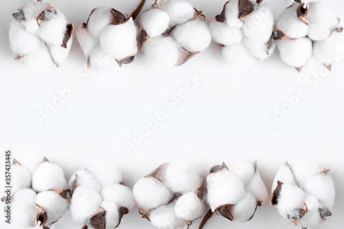 Obraz na płótnie Cotton bolls on a white background. Fruits of cotton on a white background along the top edge. Cotton frame w salonie