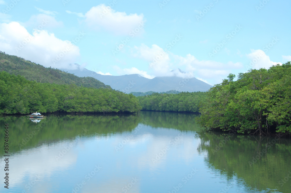 Bacungan mangrove clear water river nature scenery with passenger boat Bacungan mangrove clear water river nature scenery with passenger boat