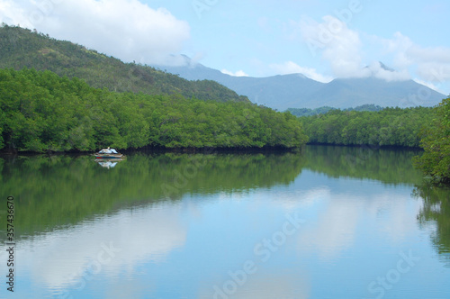 Bacungan mangrove clear water river nature scenery with passenger boat