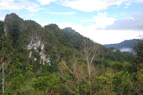 Limestone rock formation with trees in Puerto Princesa, Palawan, Philippines