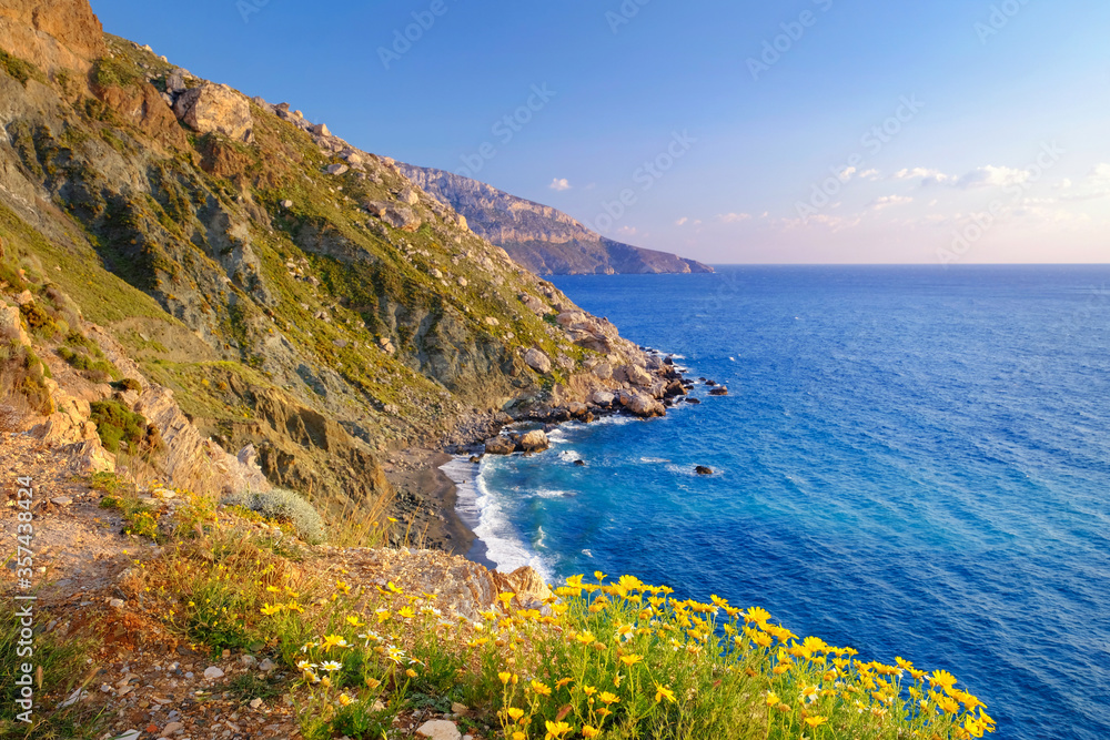 Sea shore with rock cliffs and yellow flowers during sunset