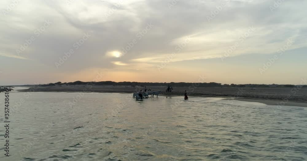 Aerial: Panning shot of wranglers with horses at sea shore, woman is dancing at beach during sunset - Camargue, France Aerial: Panning shot of wranglers with horses at sea shore, woman is dancing at beach during sunset - Camargue, France