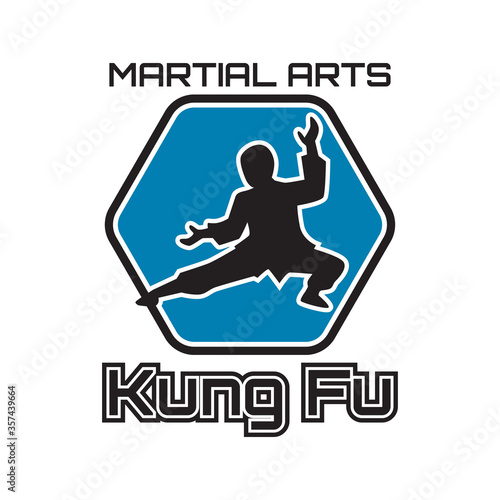 kung fu martial art isolated on white background. vector illustration
