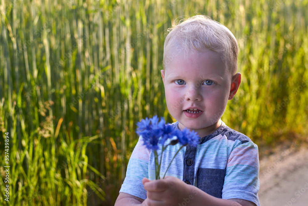 Little blond-haired boy holds a bouquet of cornflower. Little blond-haired boy holds a bouquet of cornflower.