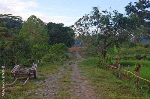 Road pathway at Ugong in Puerto Princesa, Palawan, Philippines © walterericsy