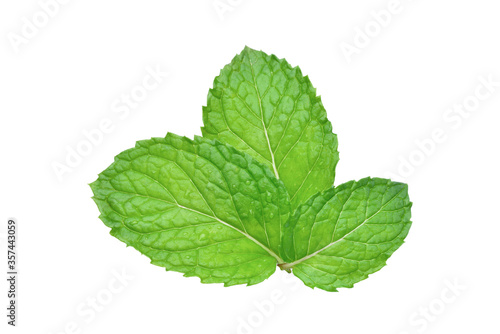 Close-up  three fresh Mint leaves isolated on white background with clipping path.