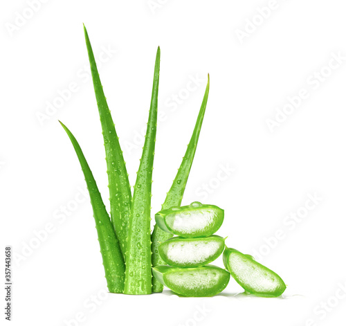 Fresh green Aloe vera leaves with sliced and water drops isolated on white background.