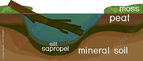 Sapropel and peat in nature. Structure of pond and marsh with bottom sediments