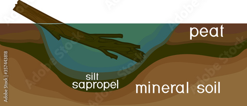 Sapropel and peat in nature. Structure of pond and marsh with bottom sediments