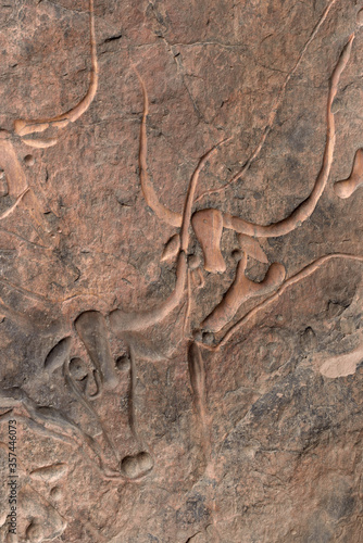 AFRICAN PREHISTORIC ROCK ART IN TASSILI NATIONAL PARK IN ALGERIA