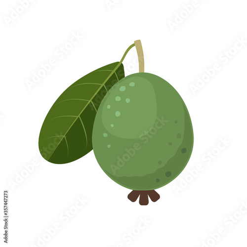 Feijoa fruit icon flat design vector illustration