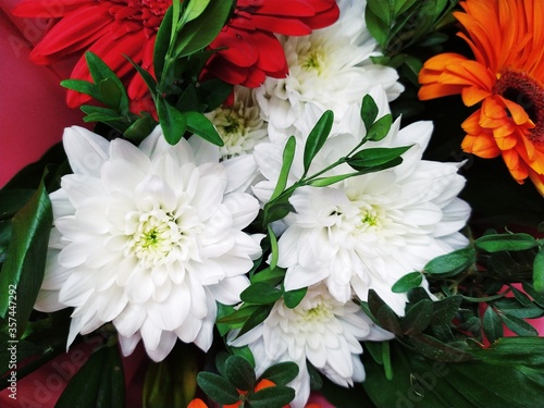 A bouquet of beautiful bright flowers gerbera red orange white chrisanthemum photo