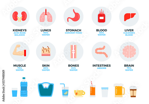 Parts of the human body and internal organs, water and drinks vector illustration in a flat design.