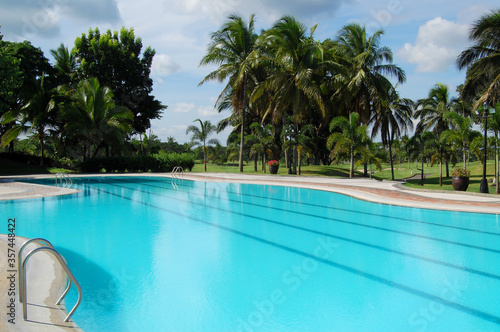 Outdoor swimming pool with surrounding tall trees 