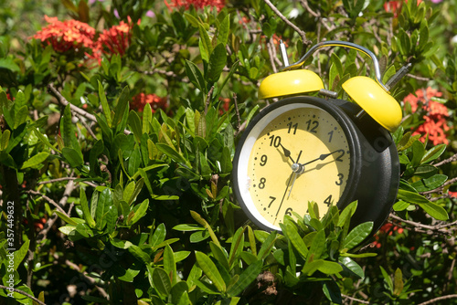 Selective focus of a yellow vintage clock on a yellow flower tree with a sun flare. Clock time ten past ten.